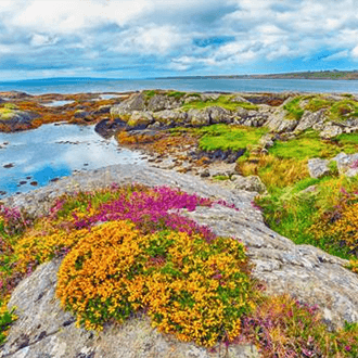 The Burren national park.